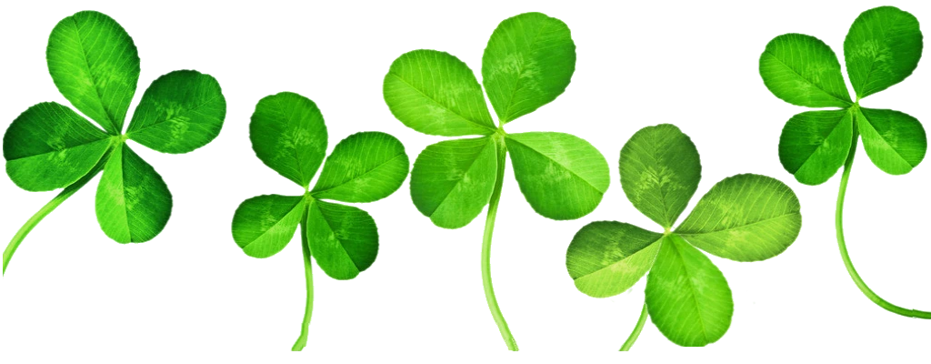 shamrock-border